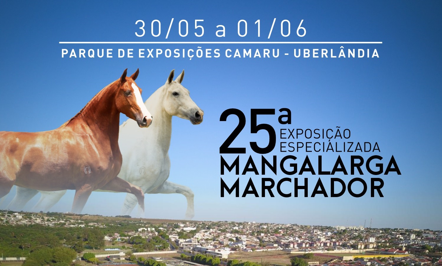 Exposição do Mangalarga Marchador acontecerá nesta semana no Parque Camaru em Uberlândia