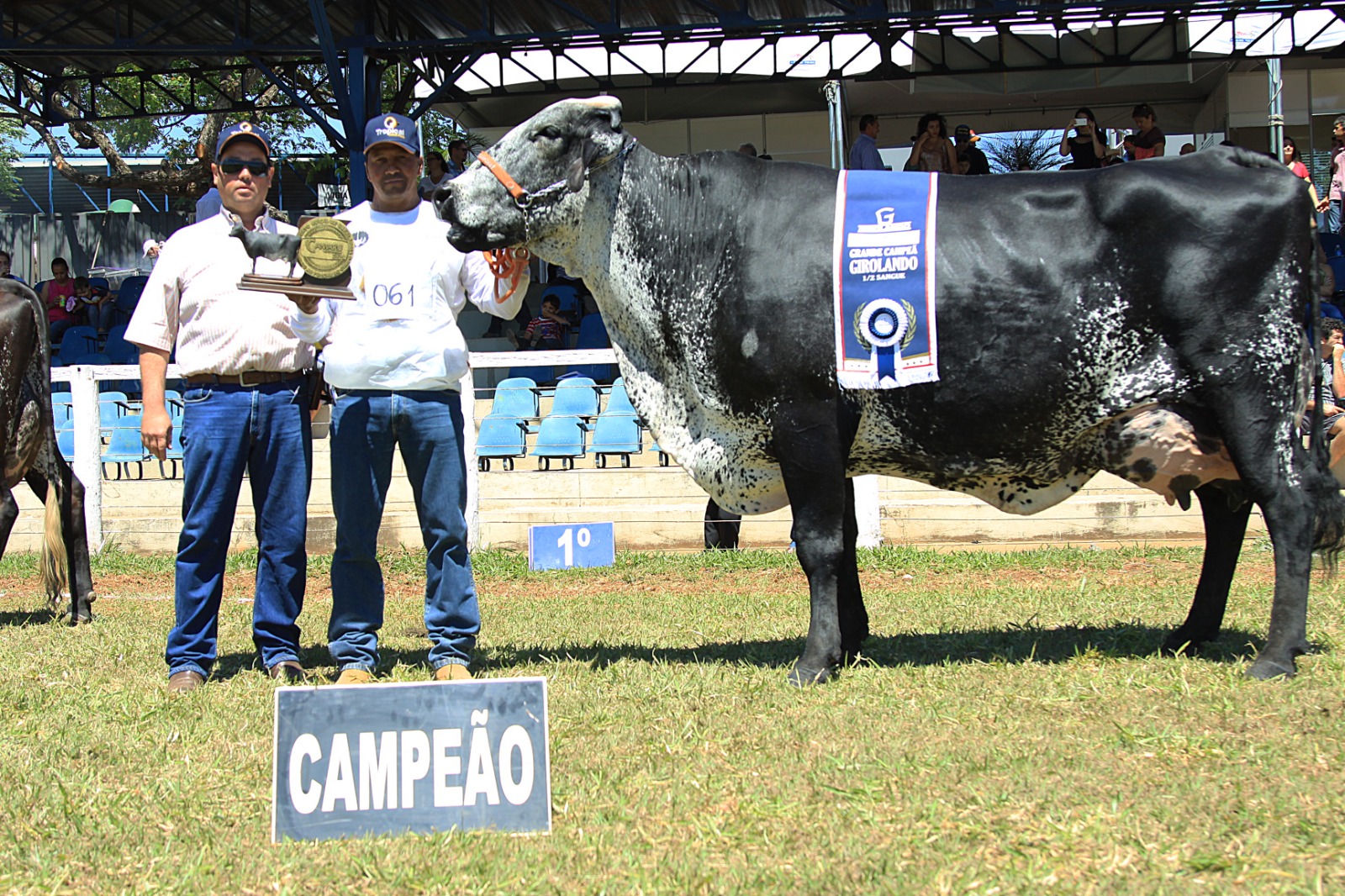 Exposição ranqueada de gado Girolando acontecerá no Camaru em Uberlândia