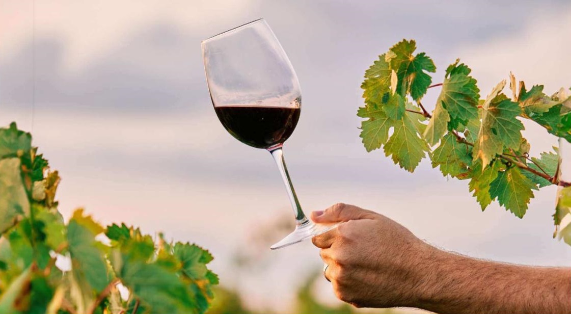 Leilão Vinhos e Vidas será realizado em prol do Hospital do Câncer de Patrocínio (MG)