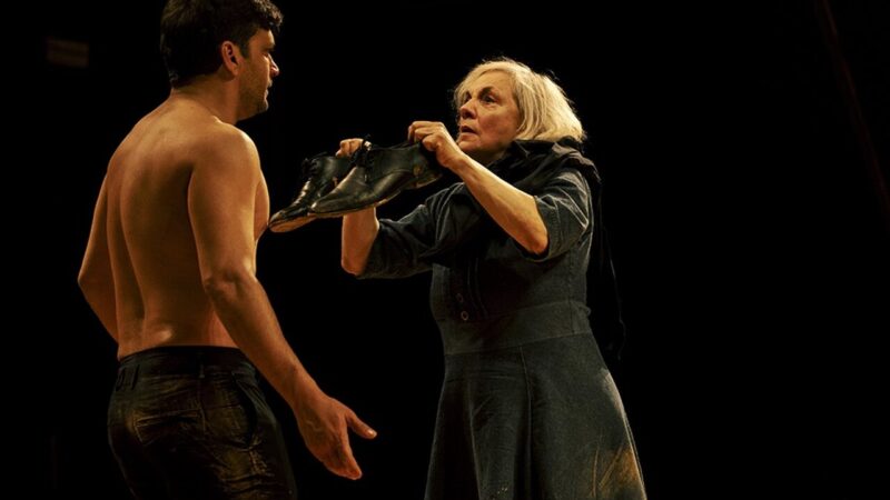 “Tom na Fazenda” retorna à Uberlândia após sucesso absoluto em 2025