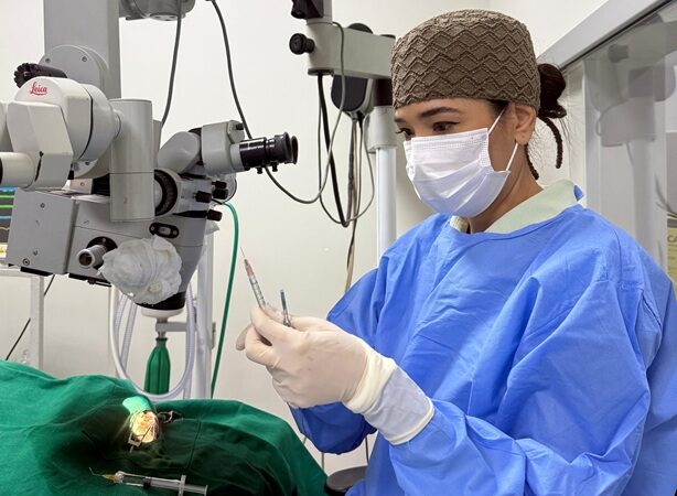 Uberlândia tem cirurgia de catarata veterinária com tecnologia e especialista pioneira