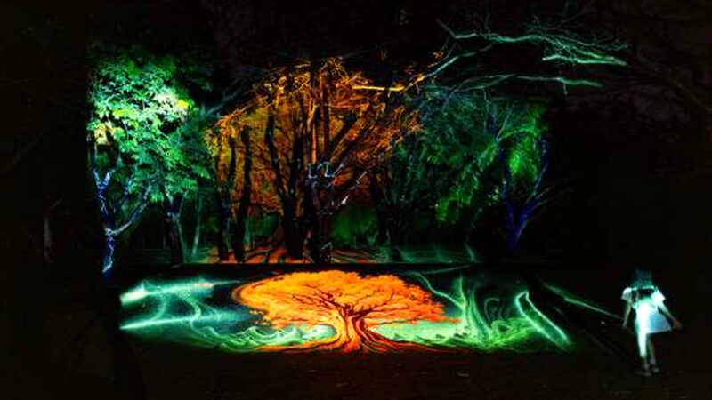 Cerrado Mapping Festival coloca Uberlândia na rota internacional da arte digital