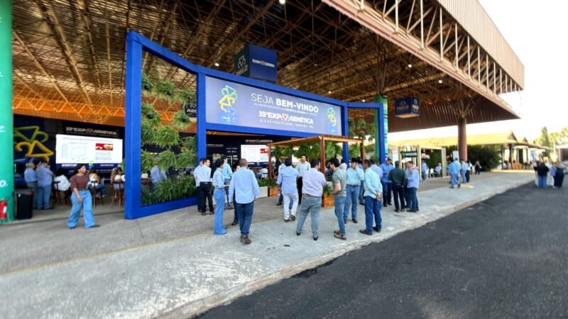 Empresas do agro podem estar deixando vendas na mesa ao tratar marketing apenas como divulgação